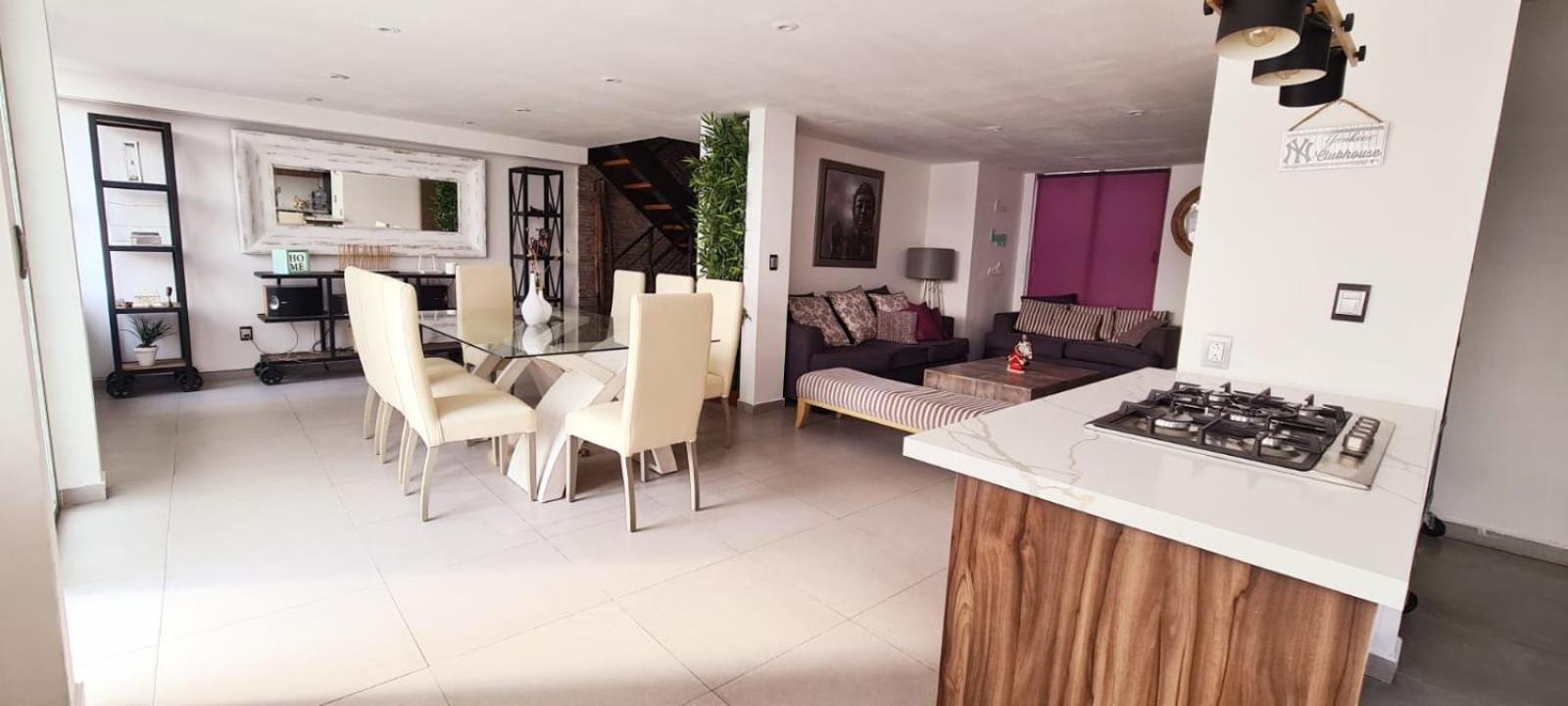 Calida Casa Pet Friendly, Cdmx Daire Meksika Dış mekan fotoğraf