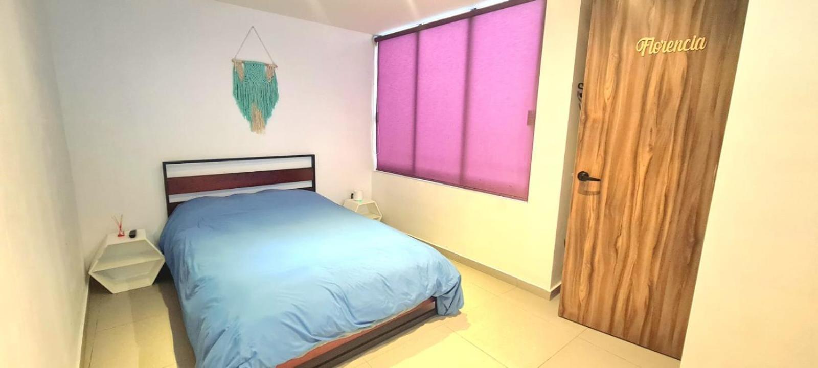 Calida Casa Pet Friendly, Cdmx Daire Meksika Dış mekan fotoğraf