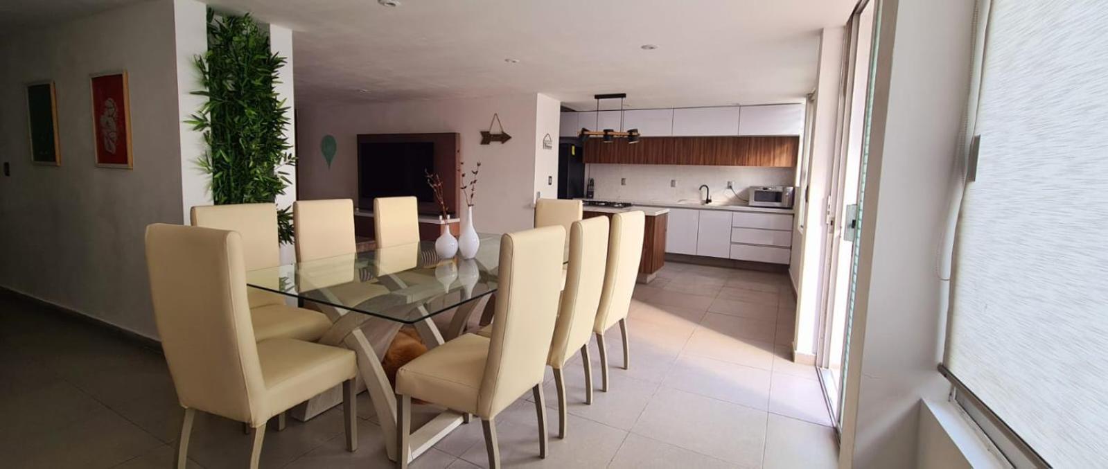 Calida Casa Pet Friendly, Cdmx Daire Meksika Dış mekan fotoğraf