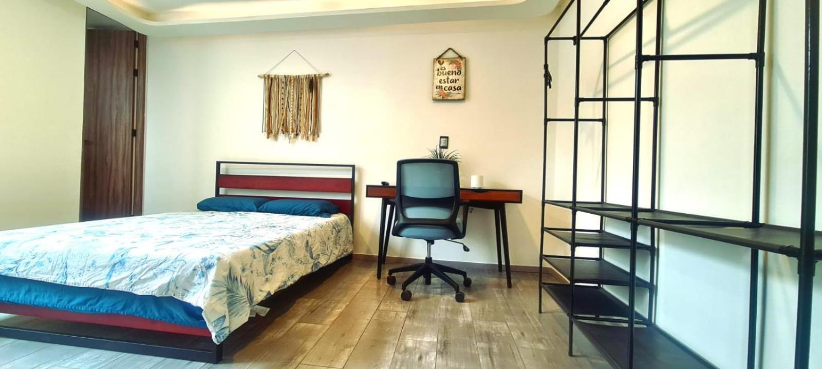 Calida Casa Pet Friendly, Cdmx Daire Meksika Dış mekan fotoğraf