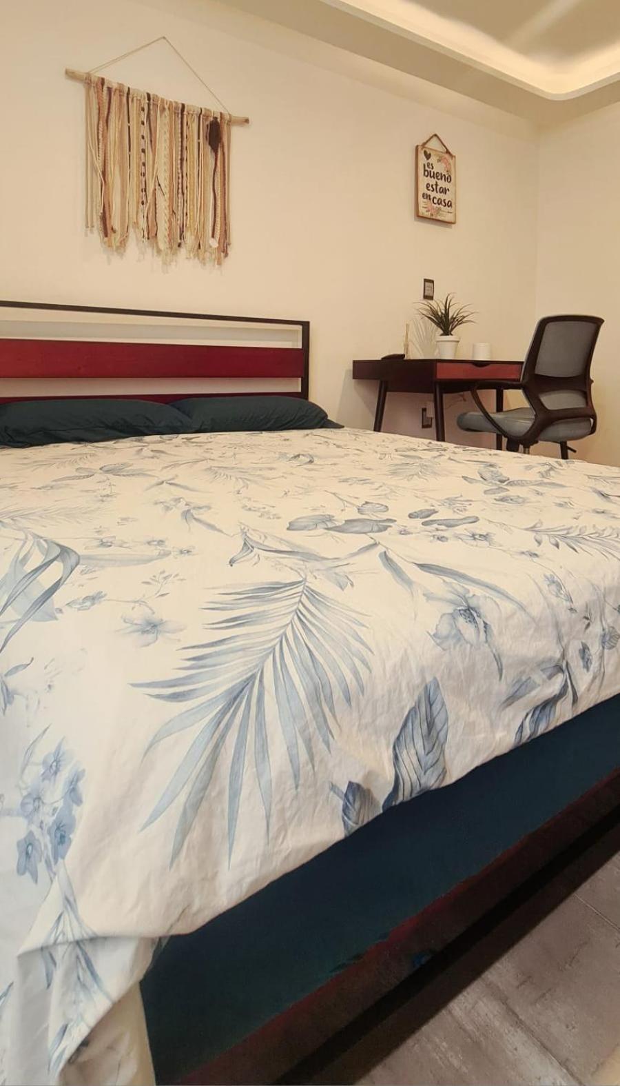 Calida Casa Pet Friendly, Cdmx Daire Meksika Dış mekan fotoğraf